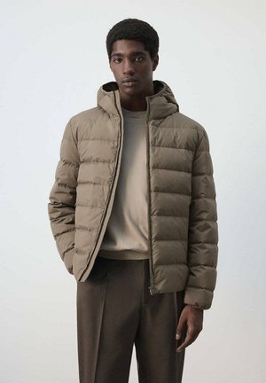 Mango, ADULT - Winterjacke - brown