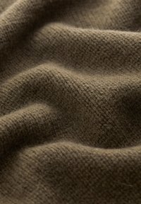 Seasalt Cornwall COUPLING - Trui - green dark seagrass