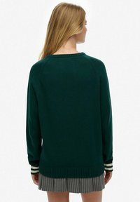 Groen gebreide trui met een ronde hals en gestreepte manchetten. Heeft een geribbelde zoom en een losse pasvorm. Achteraanzicht toont eenvoudige structuur.