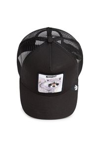 Gorra de camionero negra con parte trasera de malla, que presenta un parche rectangular que representa un mapache. La gorra tiene un visera curvada y un cierre de ajuste tipo snapback.