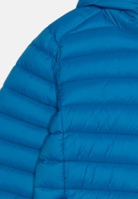 Save the duck DONY UNISEX - Giacca invernale - blue berry