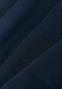REGULAR FIT - BORG COLLARED - Veste mi-saison - navy