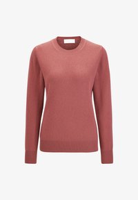 Unausgewählt, winterrose