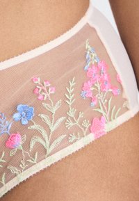 Broderte gjennomsiktige mesh-lingerie med blomsterdesign i rosa og blått med grønne detaljer, rammet inn av en myk, lyse rosa kant.