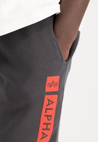 Šedé tepláky s elastickým pasem, zdobené červeným logem "ALPHA" a designovými akcenty, vyrobené z měkké, textured látky.