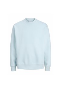 Hellblaues Sweatshirt mit Rundhalsausschnitt aus weichem Stoff, mit langen Ärmeln, gerippten Bündchen und geradem Saum für eine legere Passform.