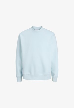 Felpa azzurro chiaro con scollo rotondo realizzata in tessuto morbido, con maniche lunghe, polsini a coste e orlo dritto per una vestibilità casual.