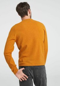 Oranž pullover-sviiter, millel on pikad varrukad, valmistatud pehmest tekstuurmaterjalist. Omab ümmargust kaelust ja sirget allääret, kantud hallide teksadega.