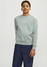 Jack & Jones Junior JORVESTERBRO CREW NECK NOOS - Ikdienas džemperis - gray mist