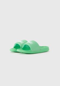 Pair of green slip-on sandals with white crocodile logos on wide straps, angled slightly to the right on a white background.