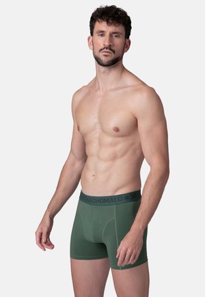 Groene boxershorts met een donkere tailleband waarop de merknaam staat. De stof lijkt glad met een aansluitend ontwerp.