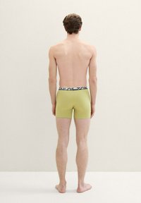 TOM TAILOR 4ER PACK - Boxerbriefs - grün hell multicolor