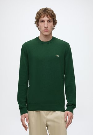 Jeune homme aux cheveux bouclés portant un pull vert foncé avec un petit logo crocodile et un pantalon beige, debout devant un fond uni.