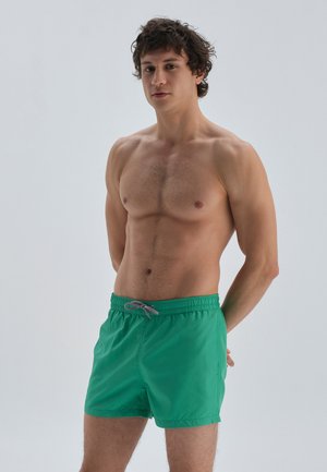 Swimming trunks - green