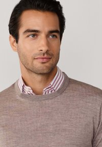 Lichtbruine gebreide trui met ronde halslijn, in laagjes over een roze en witte gestreepte shirt, met een gladde textuur en een schoon ontwerp.