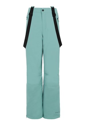 SUNNY JR - Pantaloni da neve - crocodile green