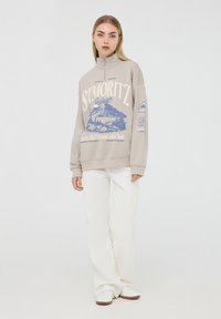 Terranova OVER A COLLO ALTO CON HALF ZIP E STAMPA MONTAGNA - Felpa - grigio chiaro