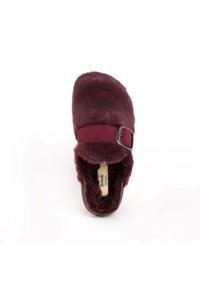 Scholl SCHOLL CLOG IVY BIG BUCKLE fioletowy