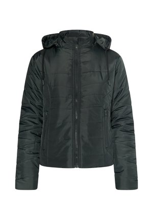 Tume roheline pehme jakk kapuutsiga, lukuga ja kahe küljetaskuga. Valmistatud sileda, läikiva materjali ja horisontaalse õmbluse detailidega.