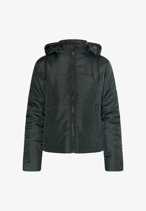 Tumši zaļš piepūsts jaka ar kapuci, ar rāvējslēdzēju un divām sānu kabatām. Izgatavota no gludas, spīdīgas masas ar horizontālu šuvju detaļām.