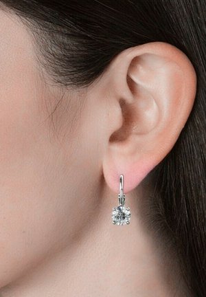 Orecchini pendenti in tono argento che presentano una pietra preziosa rotonda e trasparente circondata da piccole pietre, con una superficie lucida e riflettente.
