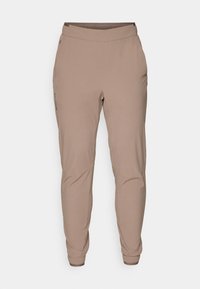 WAYFARER EASE PANTS - Outdoorbroeken - iron