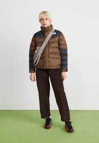 The North Face LIMBARA INSULATED JACKET - Giacca invernale - smokey brown
