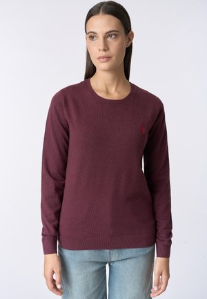 Maglione in lana bordeaux con maniche lunghe, scollo rotondo e un piccolo logo ricamato sul lato sinistro del petto. Texture morbida e design aderente.