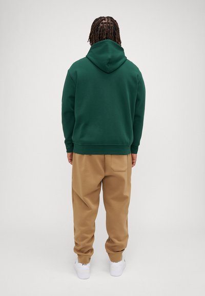 Polo Ralph Lauren Big & Tall DOUBLE-KNIT FULL-ZIP HOODIE - Jaka ar rāvējslēdzēju - vintage pine