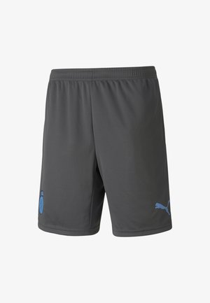 GIRONA REPLICA FOOTBALL DRENG - Korte broeken - asphalt-puma black-team light blue