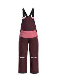 Jack Wolfskin ACTAMIC - Schneehose - boysenberry
