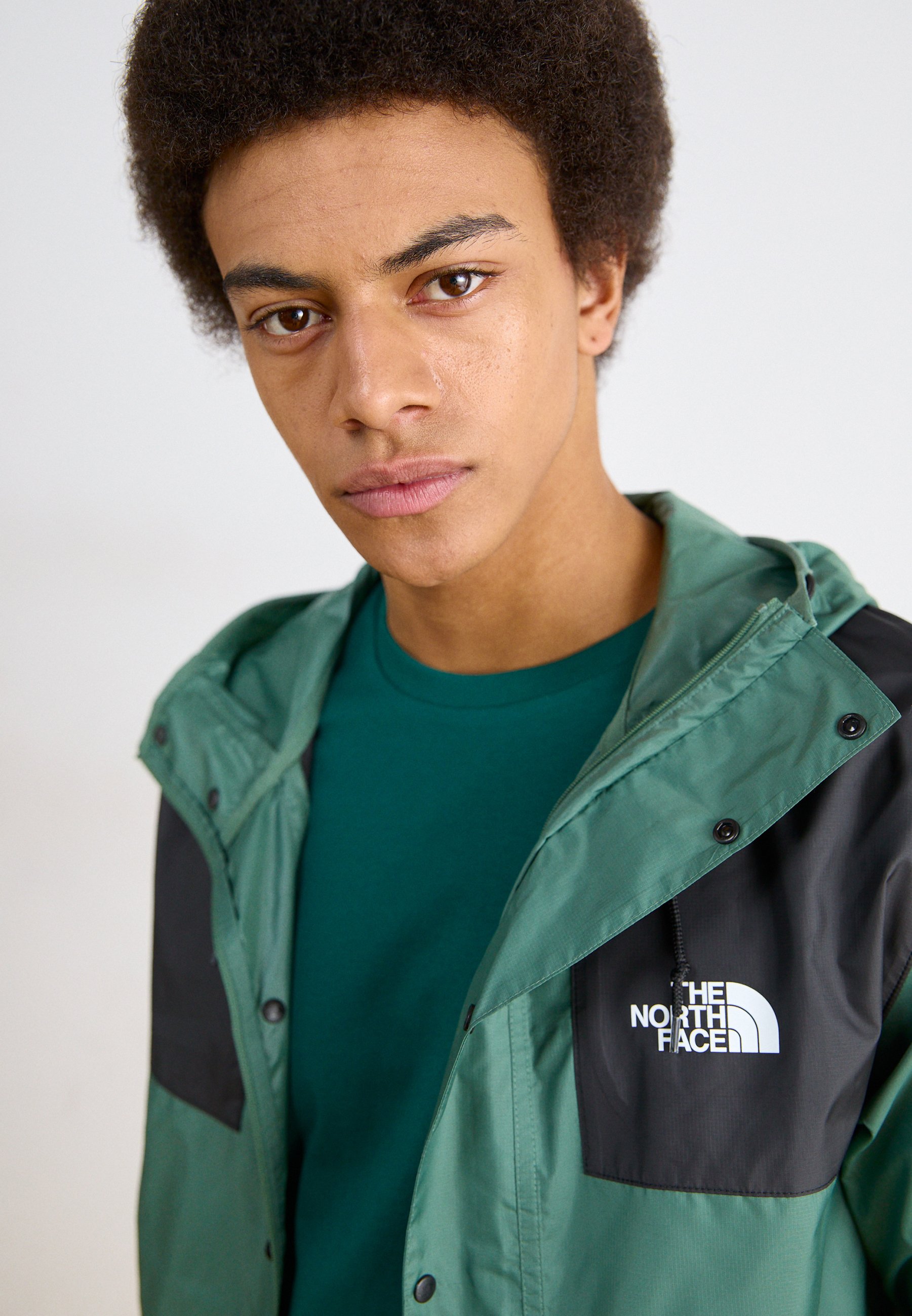 The North Face SEASONAL MOUNTAIN JACKET - Summer jacket - duck