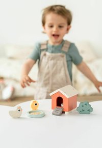 Set de joacă din lemn care prezintă o căsuță portocalie pentru păsări cu un acoperiș bej, un pui galben, o pasăre albă, un arbuște verde și o tavă de hrănire circulară.