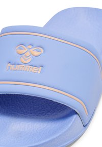 Hummel Pool slides - hydrangea