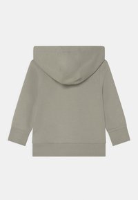 Felpa con cappuccio di colore grigio chiaro, realizzata in morbido cotone. Presenta polsini e orlo a costine, con un design minimalista e una vestibilità comoda.