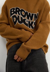 Carhartt WIP DUCKS SWEATER - Pullover - brown