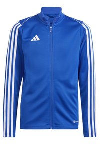 Blaues Track-Jackett aus glattem, leichtem Stoff. Mit weißen Streifen an den Schultern und einem Reißverschluss vorne.