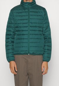 Green puffer jacket with vertical quilting, high collar, and zipper closure. Features elastic cuffs and a smooth texture. Minimal branding on sleeve.