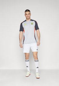 adidas Performance BENFICA LISSABON TRAINING JERSEY - Klubové oblečenie - light solid grey/semi solar red