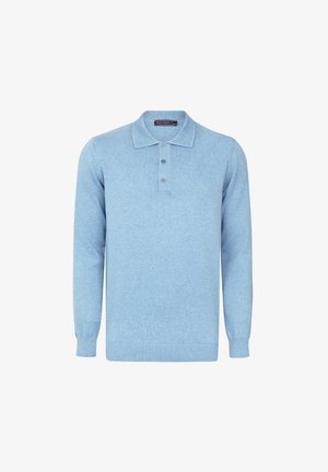 Helles blaues langärmliges Polo-Sweatshirt aus weichem Stoff, mit einem Kragen, einer Drei-Knopf-Leiste und gerippten Bündchen sowie einem gerippten Saum.