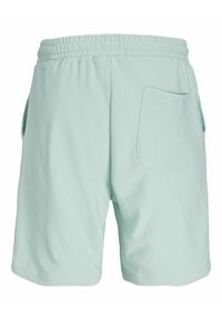 Jack & Jones JPSTKANE VESTERBRO - Pantalones deportivos - skylight