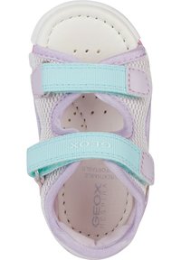 Sandalia para niño pequeño en púrpura y blanco con parte superior de malla transpirable, dos correas de velcro ajustables en azul claro y una suela acolchada.