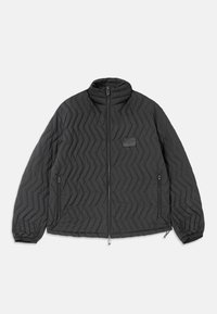 DOWN JACKET - Dunjacka - black beauty