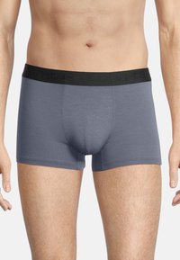 Gray cotton blend trunk underwear with a black elastic waistband featuring the brand's name. Smooth texture and fitted design.