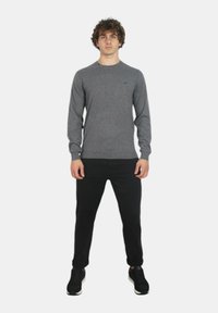 Maglione grigio a maniche lunghe con collo rotondo e un sottile accento con logo; abbinato a pantaloni neri e sneakers scure. Design semplice e aderente.