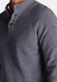 Grijze gebreide trui met hoge kraag, voorzien van twee knopen, een geribbelde textuur en een logo-patch op de linker schouder.