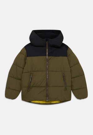 Icepeak KENMARE UNISEX - Giacca invernale - olive