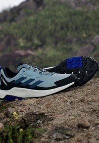 Adidas Terrex ANYLANDER - Obuća za penjanje - magic grey steel semi lucid blue