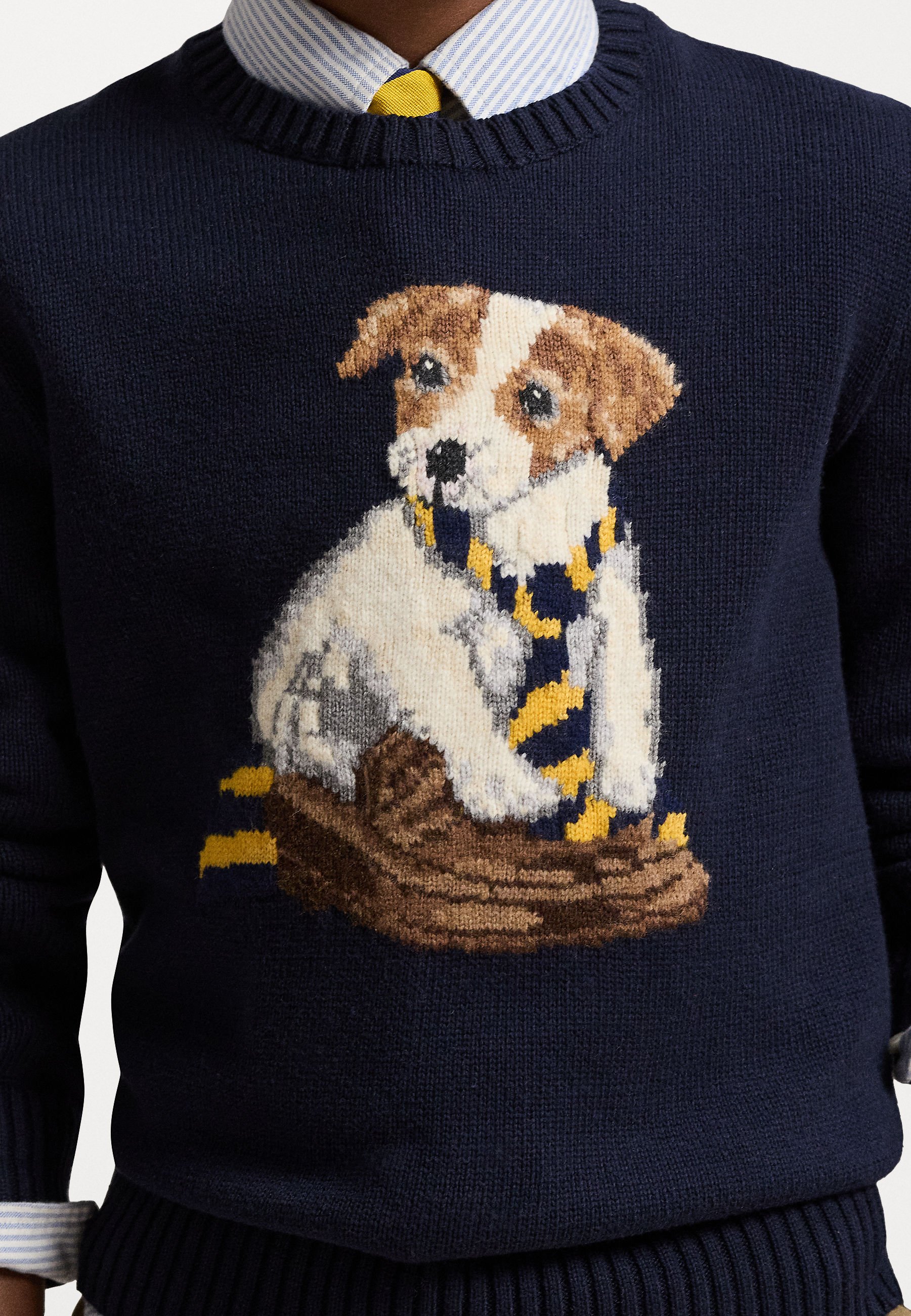 【激レア】POLO RALPH LAUREN 犬puppyニットスンミンさん着用 Polo Ralph Lauren DOG INTARSIA COTTON SWEATER - Jumper - navy