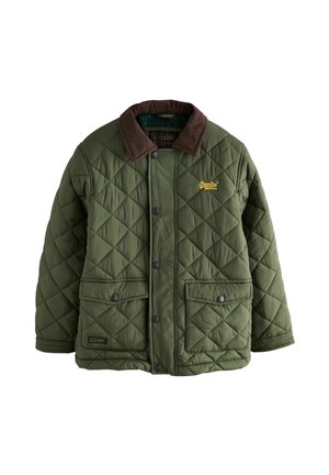 REGULAR FIT - QUILTED COLLARED - Winterjacke - green